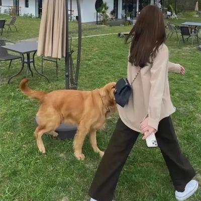 林中漫步