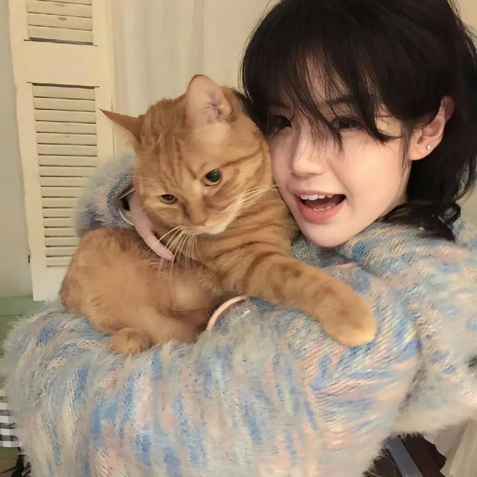 浴血太行之尖刀出鞘